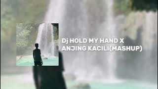 Dj Hold My Hand X Anjing Kacili (Mashup)