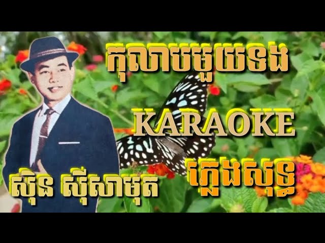 កុលាបមួយទង ( ភ្លេងសុទ្ធ ) Karaoke Sing Along