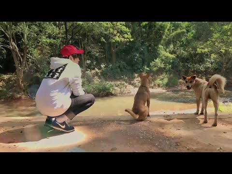 NCT 태용🌹 태용이와 동물들🐶