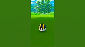✨Shiny Barboach✨! Pokemon Go ATV! Swinub Incense Day !