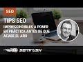 Tips SEO imprescindibles a poner en práctica antes de que acabe el año