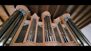 Feuerwerksmusik:Georg Friedrich Händel (1685-1759) Rowan West-Orgel in Nassau