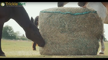 Trickle Net products promote trickle feeding, for health happiness and well being of your horse.