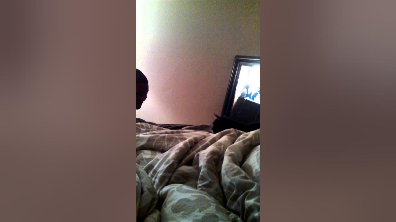 Cats attacks kids YouTube