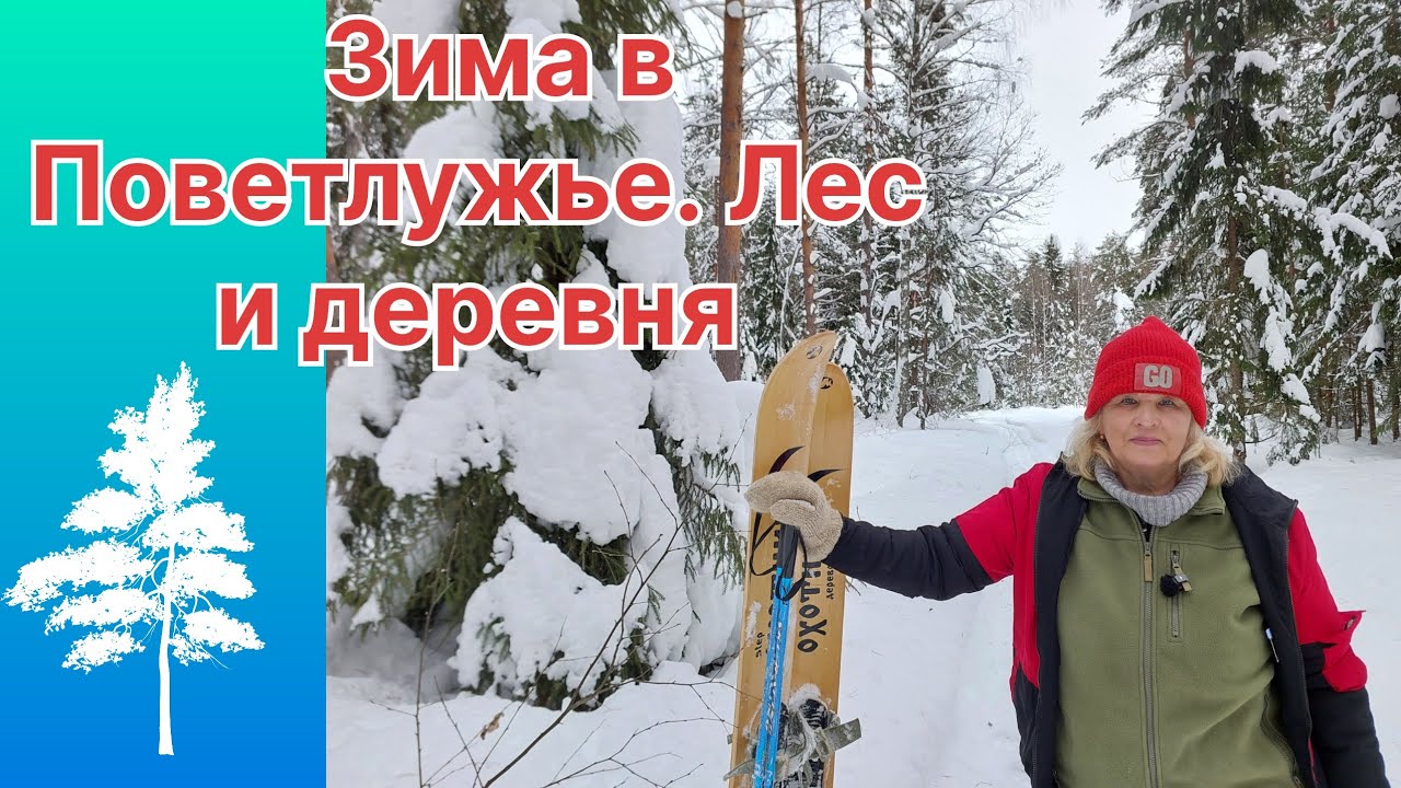 ПРОГУЛКА НА ЛЫЖАХ. В ГОСТЯХ У БАБУШКИ ГАЛИ.