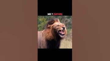 5 Lions Who Could Beat Scarface 1v1 🦁 | King vs King #shorts  #viral