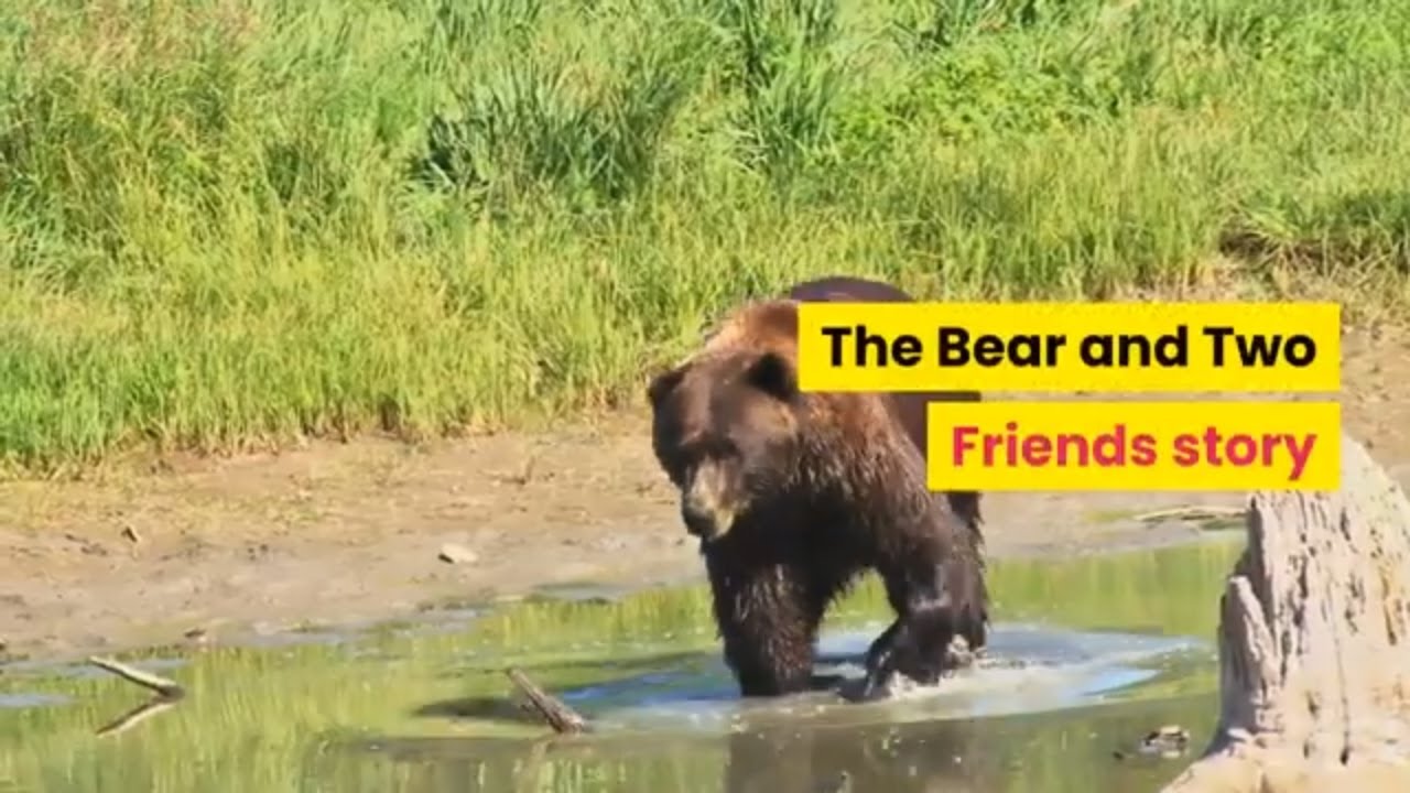 The Bear And Two Friends Story Short Moral Story Kids Story