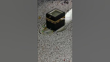 تلاوة فضيلة للقرآن الكريم🥀 قرآن كريم🌹 عطر مسمعك بتلاوة من القرآن الكريم#قران_كريم #تلاوة_خاشعة