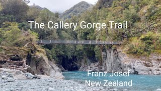 Callery Gorge Trail Franz Josef New Zealand 2023