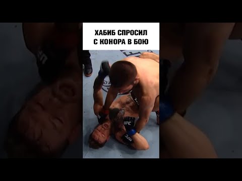 Вот что Хабиб говорил Конору в бою