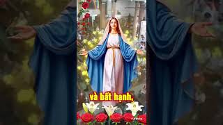 Tạ ơn Chúa . Amen #chuagiesu #cônggiáo #avemaria #caunguyen #jesuslovesyou #loichua #kinhthanh