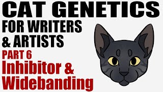 Cat Genetics for Writers & Artists part 6: Inhibitor & Widebanding [CC]