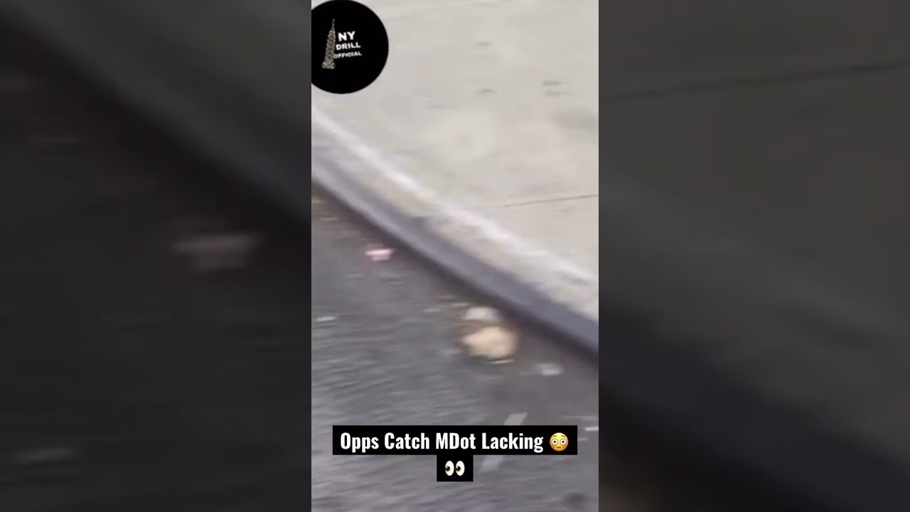 Opps Catch MDot Lacking In The Bronx 