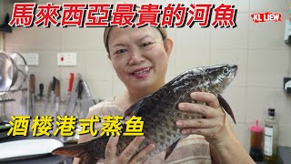 酒楼港式蒸鱼,馬來西亞最貴的河魚忘不了Empurau，现在住家也可养殖了