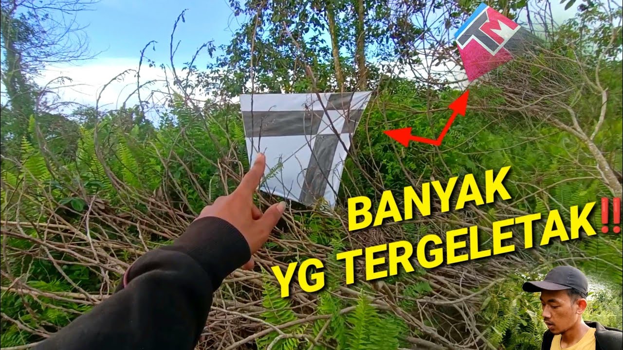 TIDAK ADA ORANG YG TAU BANYAK LAYANGAN TERGELETAK DI HUTAN INI !