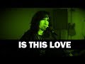 Is This Love - Whitesnake (Wings of Pegasus Cover)
