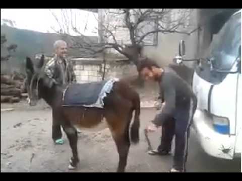 marixuanas legalizaciis shemdeg | მარიხუანას ლეგალიზაციის შემდეგ