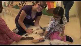 UCLA People Animal Connection | Pet Therapy - UCLA Health