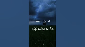 🕋 اكتب شيء تؤجر عليه 🕋✨ #القرآن #تلاوةخاشعة #راحة نفسية #خشوع #غزة