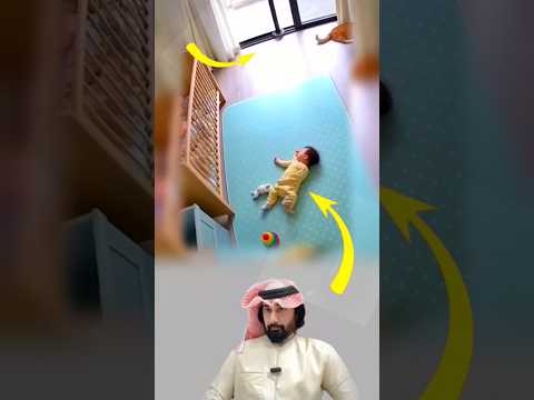 لم تنقذه القطة فقط بل أنقذته الرحمة التي أودعها الله في قلوب المخلوقات