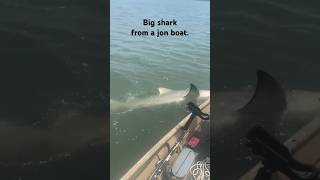 Big Shark from a Small Boat!!! #shark #ocean #beach #southcarolina
