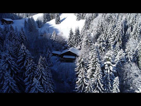 À vendre - chalet isolé à Troistorrents (VS)