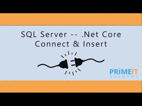 Database Connection Sql Server with   .NetCore and Insert Data
