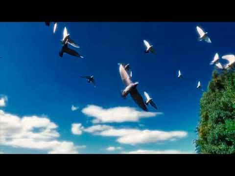 flying high - hard rap/hip hop beat (FREE FOR PROFIT USE)