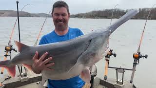 ￼ Lake of the Ozarks spoonbill fishing￼￼