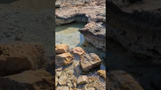 Nissi Beach auf Zypern #nissibeach #beach #remix #zypern #short #2026 #strand #ayianapa #strand