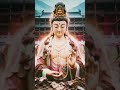 🪷관음의 자비를 받으세요🪷Phật Pháp Nhiệm Mầu #buddha #peace #mindfulness #자비 #buddhism #motivation #부처님말씀 #불교