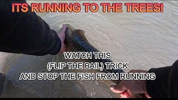 Salmon Fishing, STOP A FISH! What do I do? HOW DO I STOP THEM? WATCH THIS VIDEO! FISH TURNS AROUND!