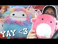 a whole MONTH'S worth of squishmallow hunting!