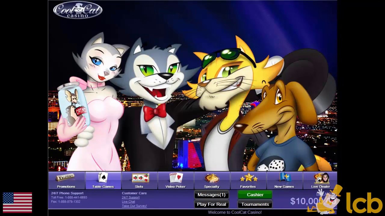 Cat casino вход cat play pw. Cat казино. Cat Casino бонус. Cat Casino. Игра ВК казино енот Рубин.