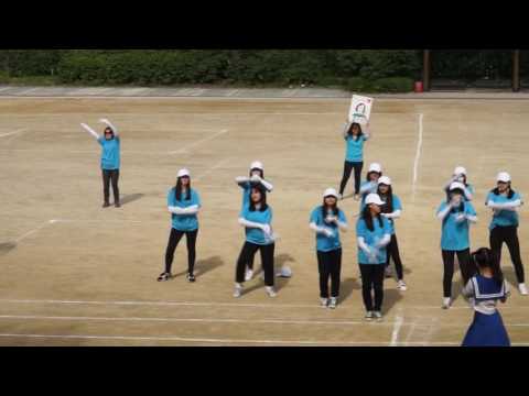 2016 202_이화미디어고 체육대회