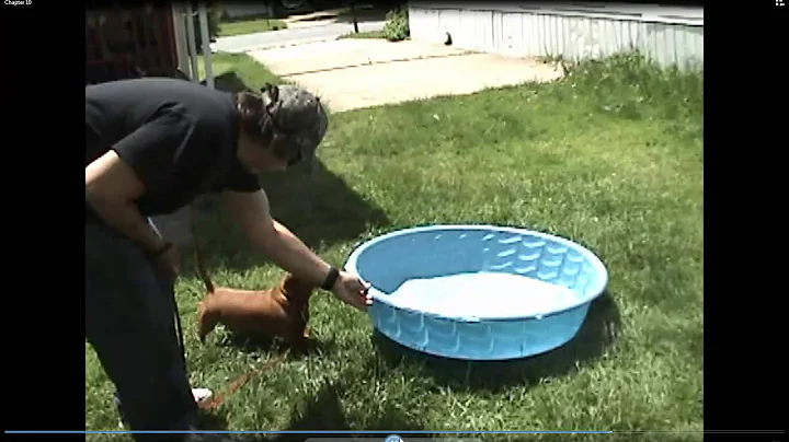 Chloe and pool