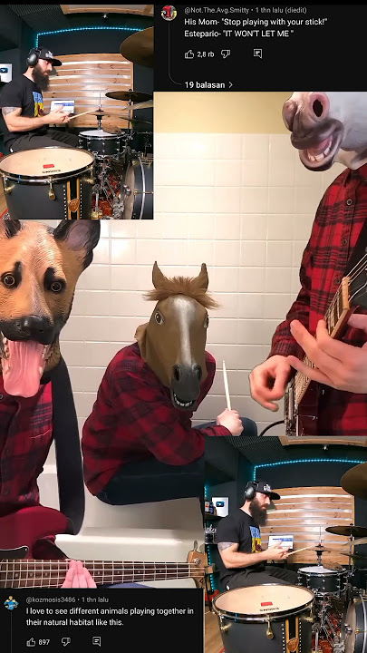 KO BISA??? ANIMALL!!! Play music 🎶🎶🎶 #drummer #animals