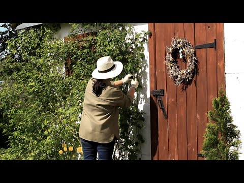 видео: Little things that make life beautiful | Rural routine| DIY wooden napkin holder | Gardening. Easter