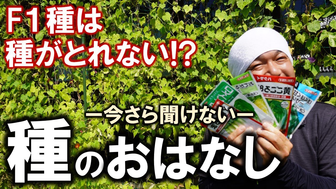 【今さら聞けない】種のおはなし