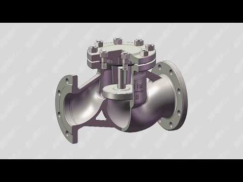 Lift check valve structure video is