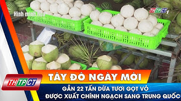 Gần 22 tấn dừa tươi gọt vỏ được xuất chính ngạch sang Trung Quốc | Cần Thơ TV