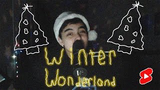 Winter Wonderland (Cover) #Shorts