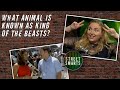 What animal is known as king of the beasts  street smarts  full episode