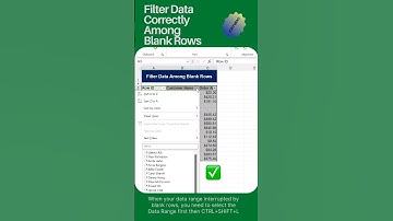 Filter Data Correctly Among Blank Rows!#exceltech #filters #tutorial