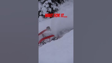 Carving fresh pow to wheeling over backwards 🤟 #snowmobile #shorts #polaris