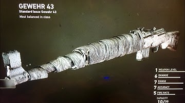 COD WW2: Gewehr 43 Modded Controller Rapid fire with Extended Mags