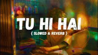 TU HI HAI || SLOWED & REVERB || LISTEN AND FEEL || USE HEADPHONE