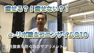 [#54]αリポ酸＆コエンザイムq10では痩せない？！