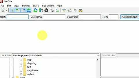 How to show hidden files in filezilla?