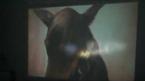 3M-120 Pocket Projector